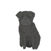 dogs pug Sticker by Nelly Castro