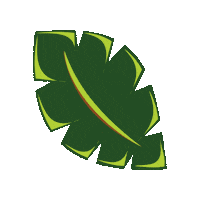 vitaveg plants eco palm plant based Sticker