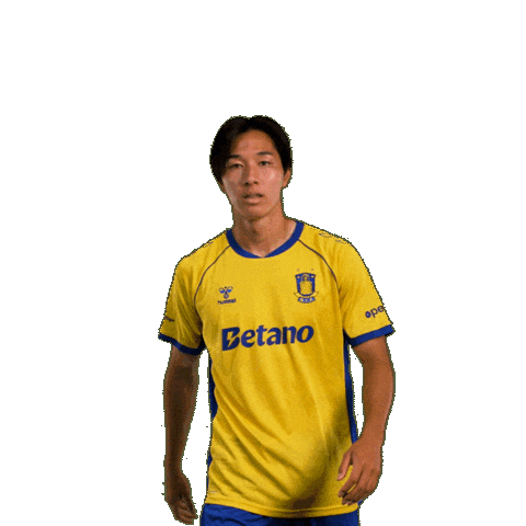 Goalcelebration Sejr Sticker by Brøndby IF