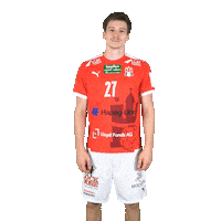 Sport Handball Sticker by HamburgHandball