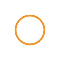 Orange Circle Sticker by Solaride