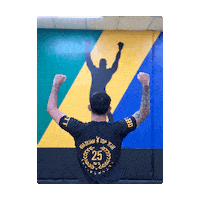 Btt Sticker by Brazilian Top Team