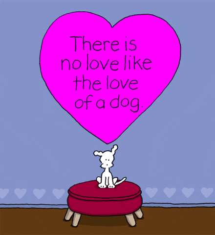 I Love Dogs GIF by Chippy the Dog