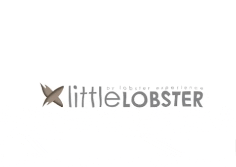 lobsterexperience giphygifmaker boutiquehotel luxuryhotel lobsterexperience GIF