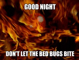 Bed Bugs Night GIF by Sealed With A GIF