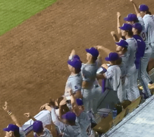 College Sports Celebration GIF by LSU Tigers