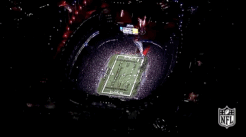 2018 nfl football GIF by NFL