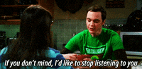 the big bang theory fun GIF