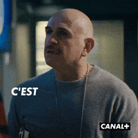 Kad Merad What GIF by CANAL+