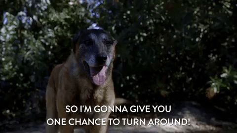 season 3 episode 18 GIF by Workaholics