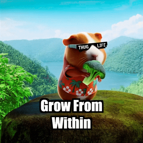Growth Wisdom GIF by Guinea Gambino
