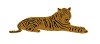Tiger Chillin Sticker by Bread & Butter Club