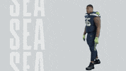American Football GIF by Seattle Seahawks