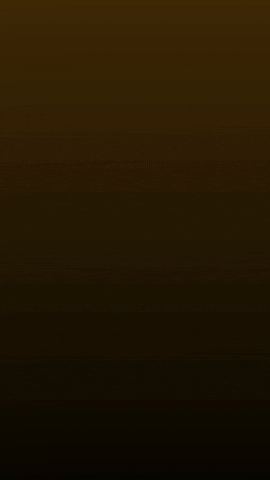 N2N2 GIF