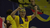 Dance Dancing GIF by EHF