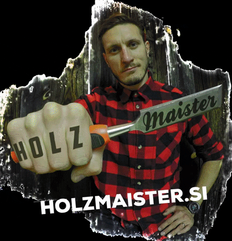 HolzMaister giphygifmaker rainbow holz holzmaister GIF