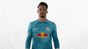 Football Sport GIF by RB Leipzig