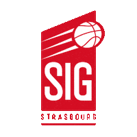 france basket Sticker by Basketball Champions League