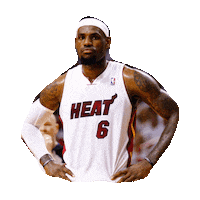 lebron james STICKER by imoji