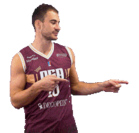 Basketball Basket Sticker by Alliance Sport Alsace