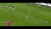 cat GIF by nss sports