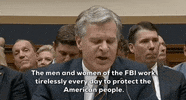 Testimony GIF by GIPHY News