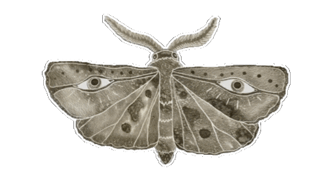 Eyes Witchcraft Sticker