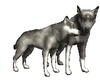 wolf STICKER