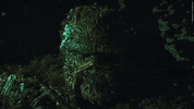 Dc Universe Stare GIF by DC
