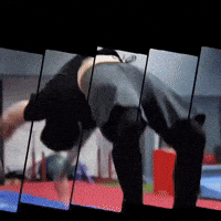 Avi GIF
