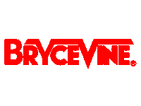 Bryce Vine Sticker by Big Noise