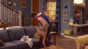 Posing Jason Biggs GIF by FOX TV