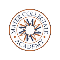 Academica Schools Sticker by Academica