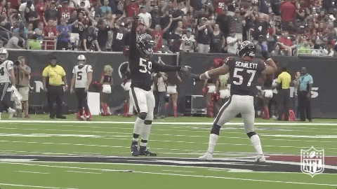 Houston Texans Football GIF by NFL