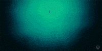 Loop Falling GIF by Xbox