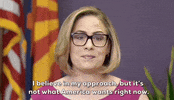 Retiring Kyrsten Sinema GIF