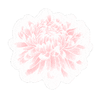 November Mum Sticker