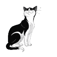 purinaoesterreich happy music cat chill Sticker