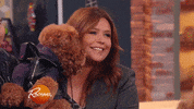 dog dress up GIF by Rachael Ray Show
