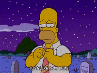 homer simpson episode 10 GIF