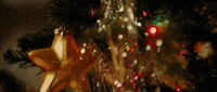 Christmas Tree GIF by filmeditor