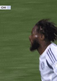 Chicago Fire Celebration GIF by Major League Soccer