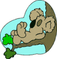 koala Sticker