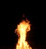 fire burn GIF