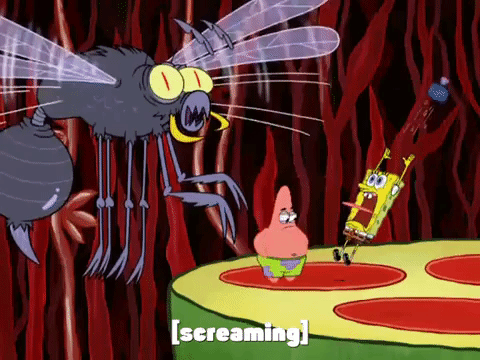 season 8 spongebob's runaway roadtrip: a squarepants family vacation GIF by SpongeBob SquarePants