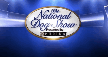 national dog show 2018 GIF by NBC