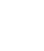 Rugby Shark Sticker by Tasman Mako