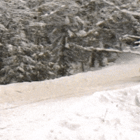 Rally Sweden Motorsport GIF by FIA World Rally Championship