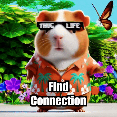 Peace Connection GIF by Guinea Gambino