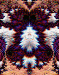 GIF by Leo Pyrata